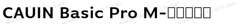 CAUIN Basic Pro M字体转换